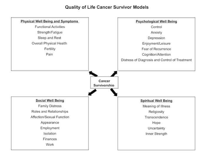 Nursing Resources Quality of Life Survivor Cancer Model
