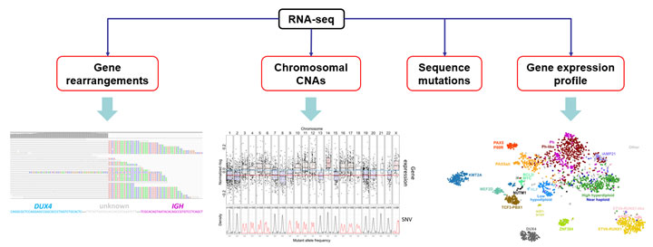 RNA-seq, Zhaohui Gu Lab