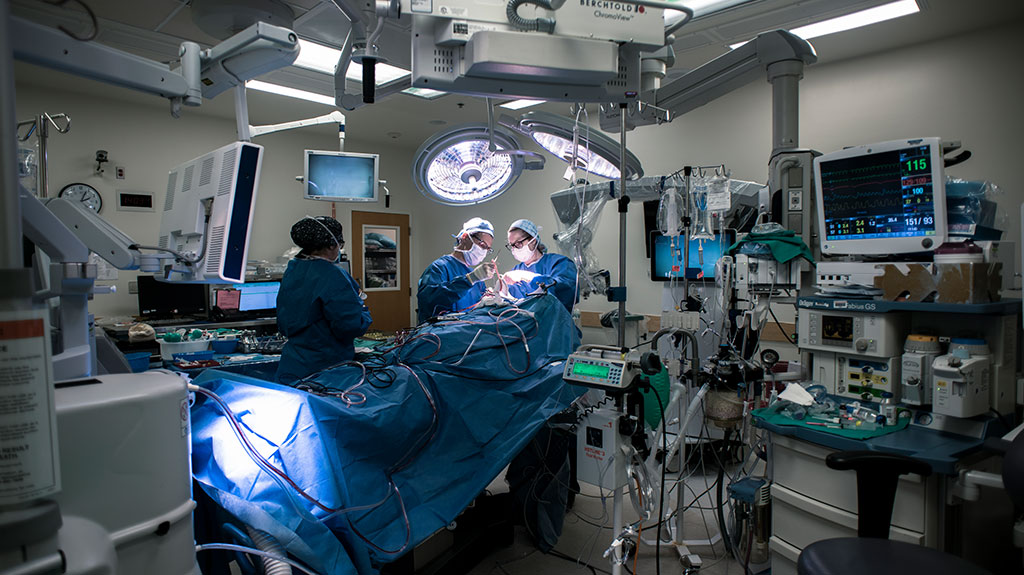 badie-and-feldman-wide-shot-during-car-t-brain-surgery