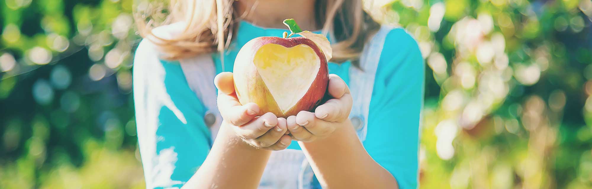 K-12 student outreach and internships