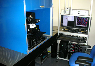 lm-prairie-technologies-ultima-2-photon-microscope