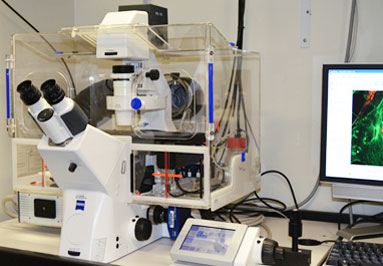 lm-zeiss-axio-observer-z1