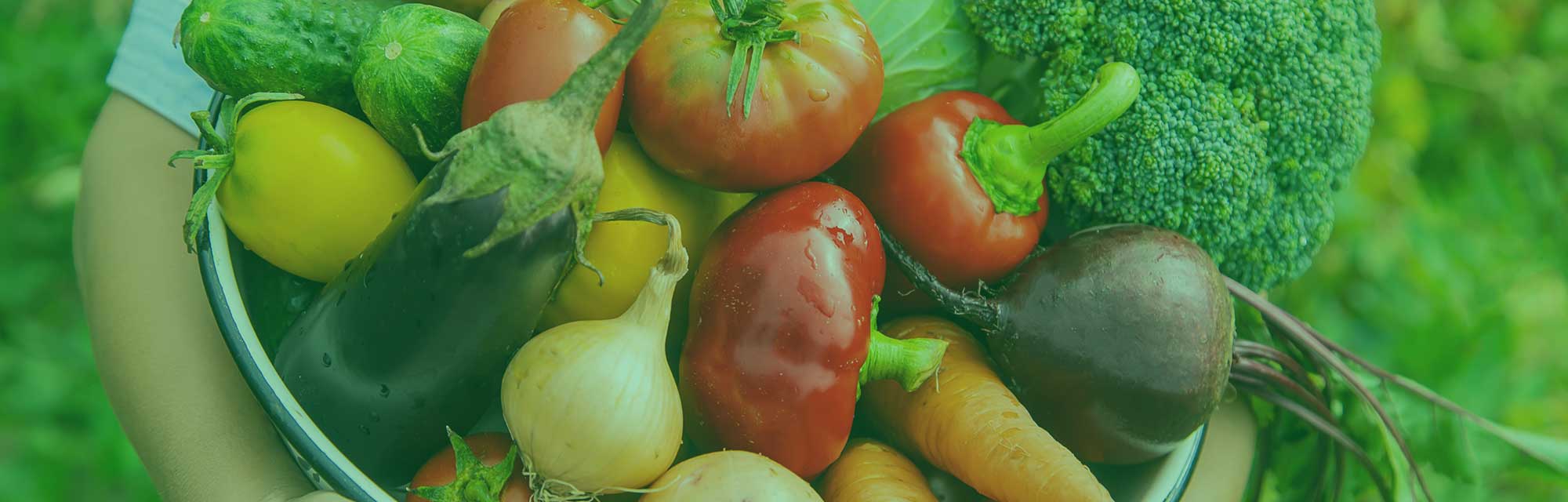 Urban gardens and farmers markets