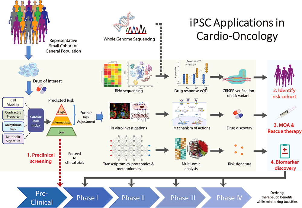 The iPSC Applications in Cardio-oncology