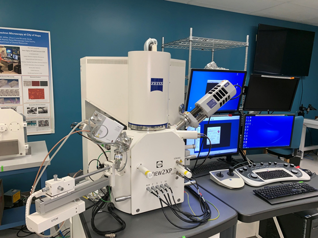 Zeiss Sigma VP Field Emission Scanning Electron Microscope (FE-SEM) with Gemini column