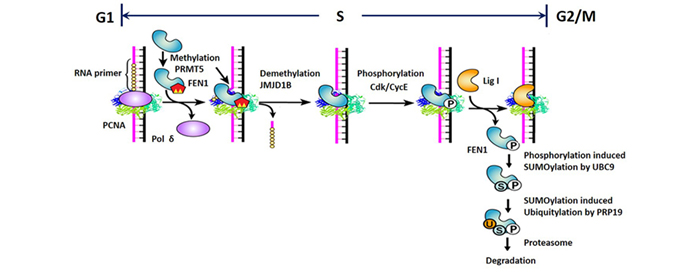 nature chemical biology image chart