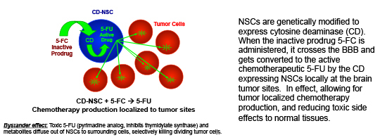 Aboody Research NSC image 1