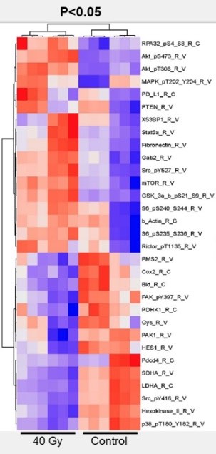 Terence Williams Lab P Factor