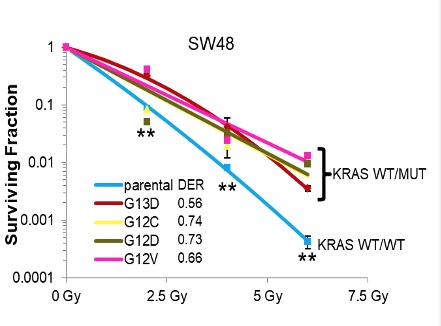 Terence Williams Lab SW48 Surviving Fraction