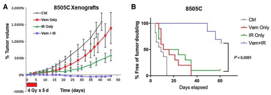 Terence Williams Lab Oncogene-Mediated Radioiresistance 8505c