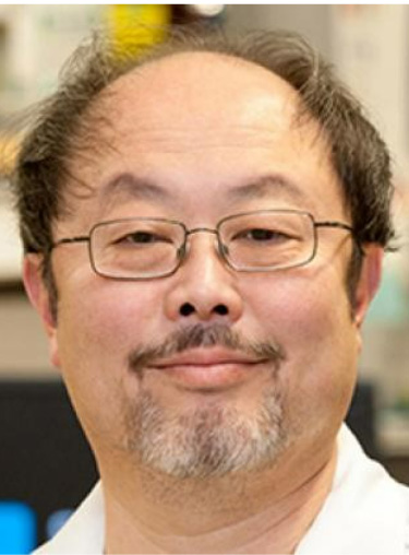 David Ann, Ph.D