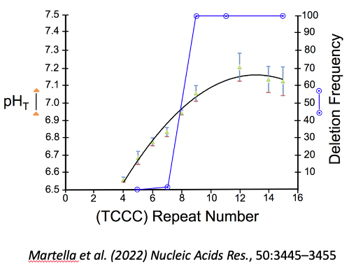 Steven Smith Figure 5