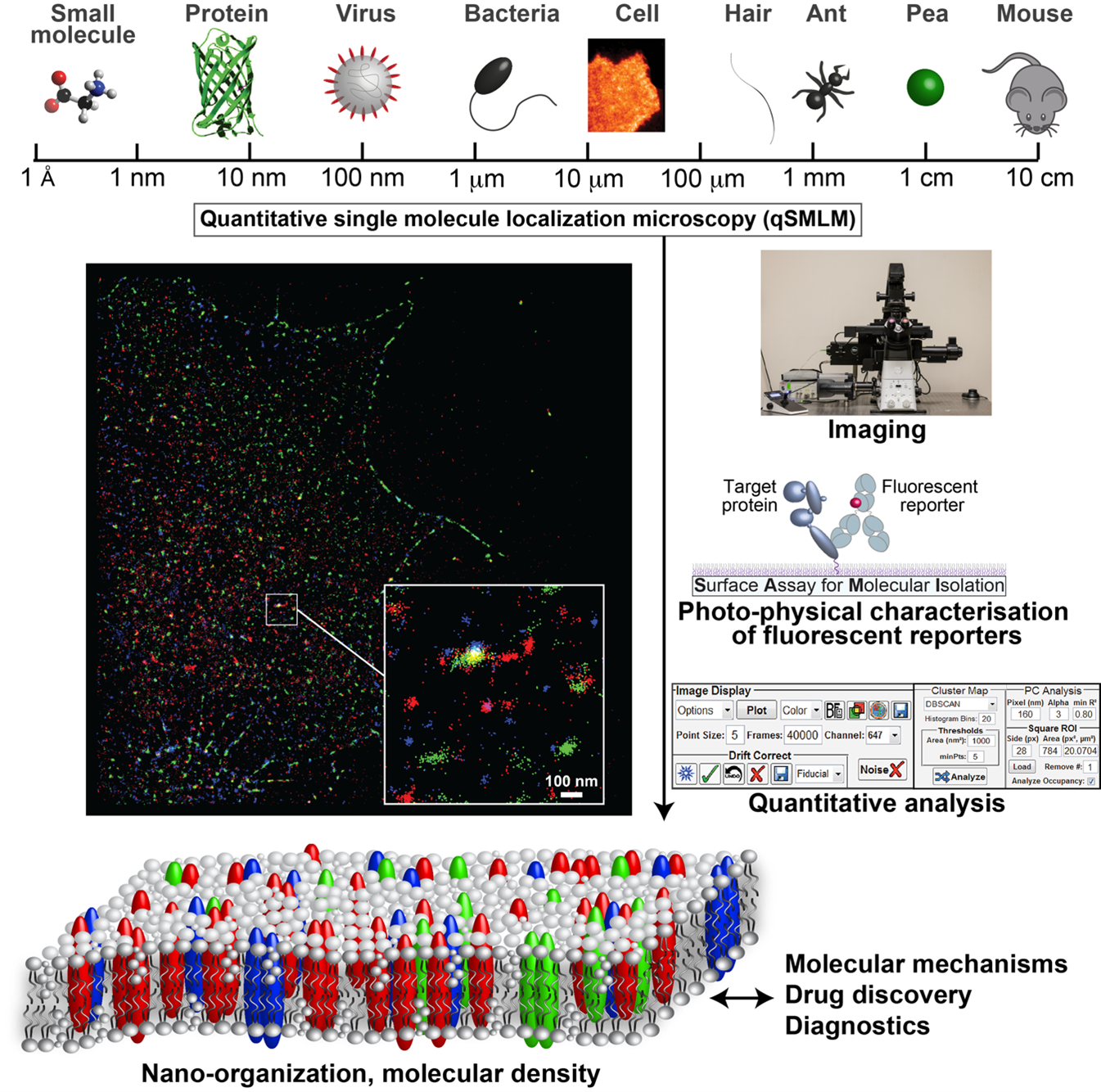 Talisman Lab Figure1