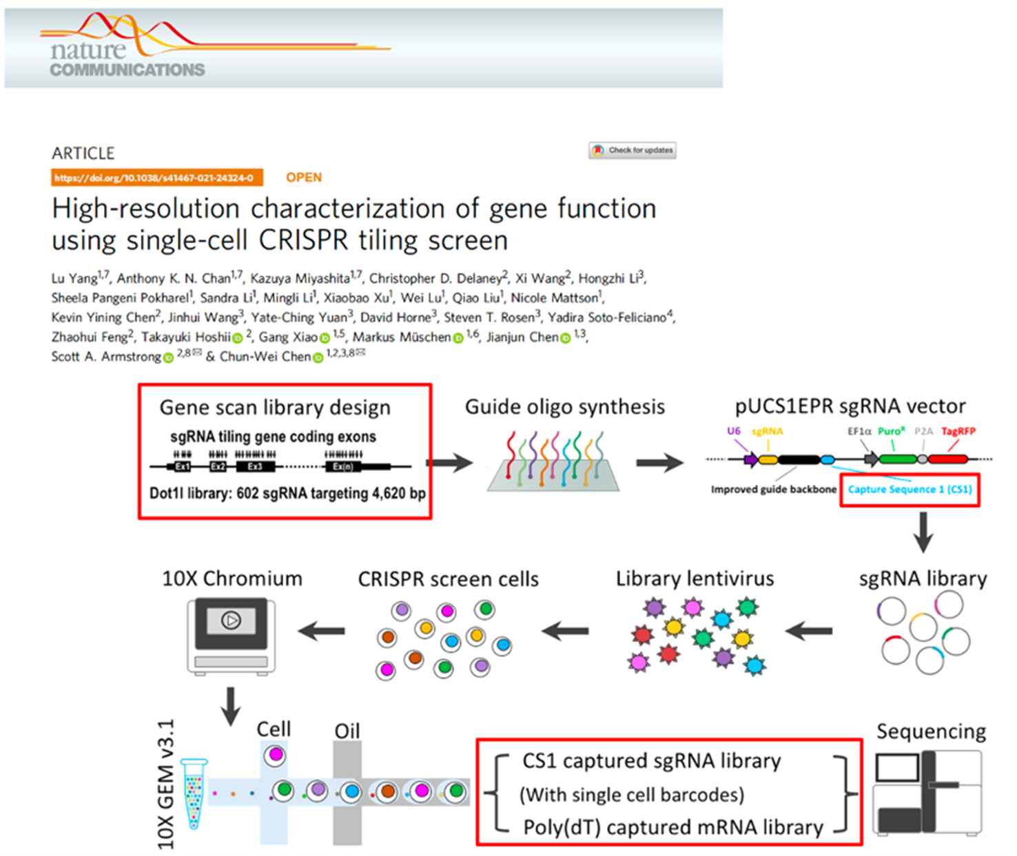 David Chen research highlights