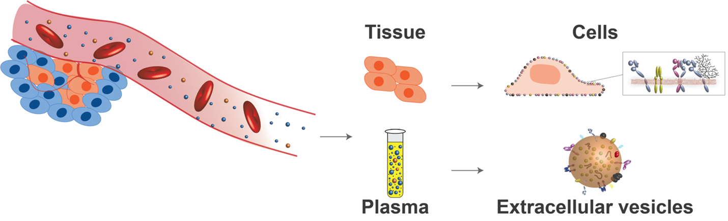 Talisman Lab Figure 2