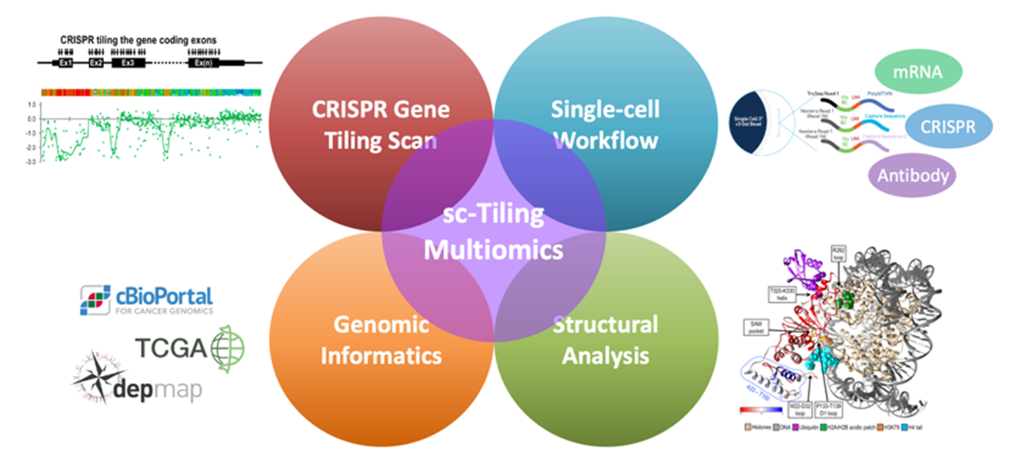 David Chen research highlights