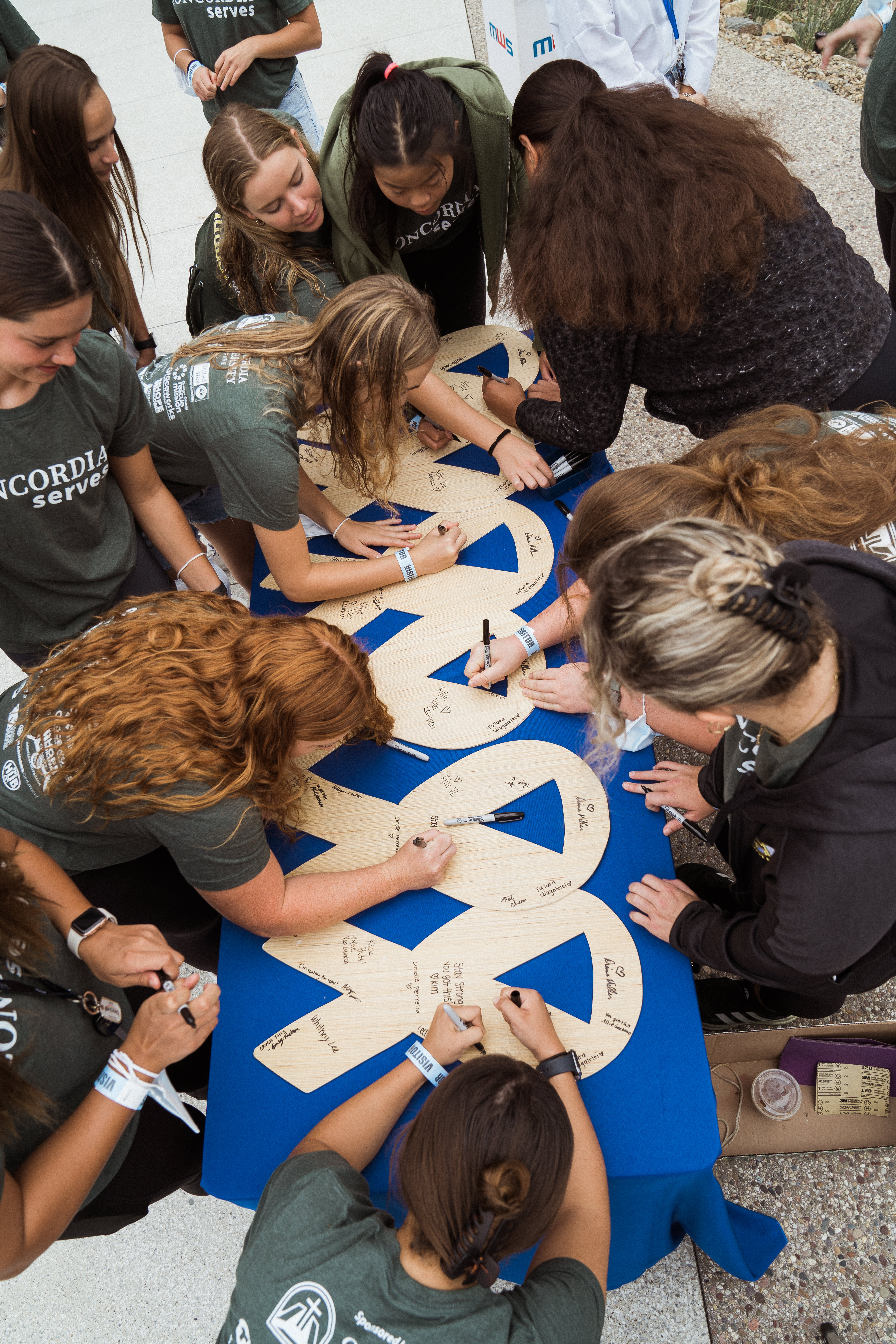 White Ribbon Project