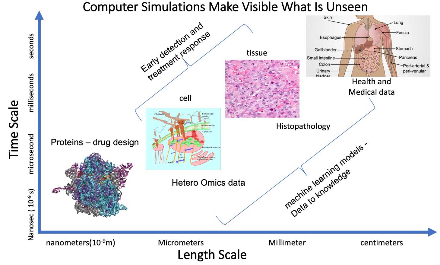 Computational and Quantitative Medicine Computer Simulations Make Visible What is Unseen
