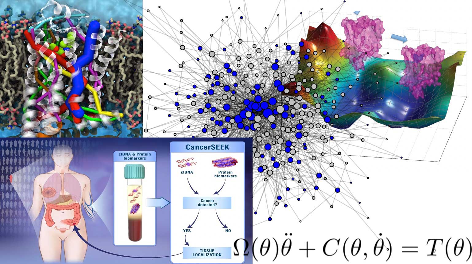 Computational and Quantitative Medicine ctDNA Protein biomarkers