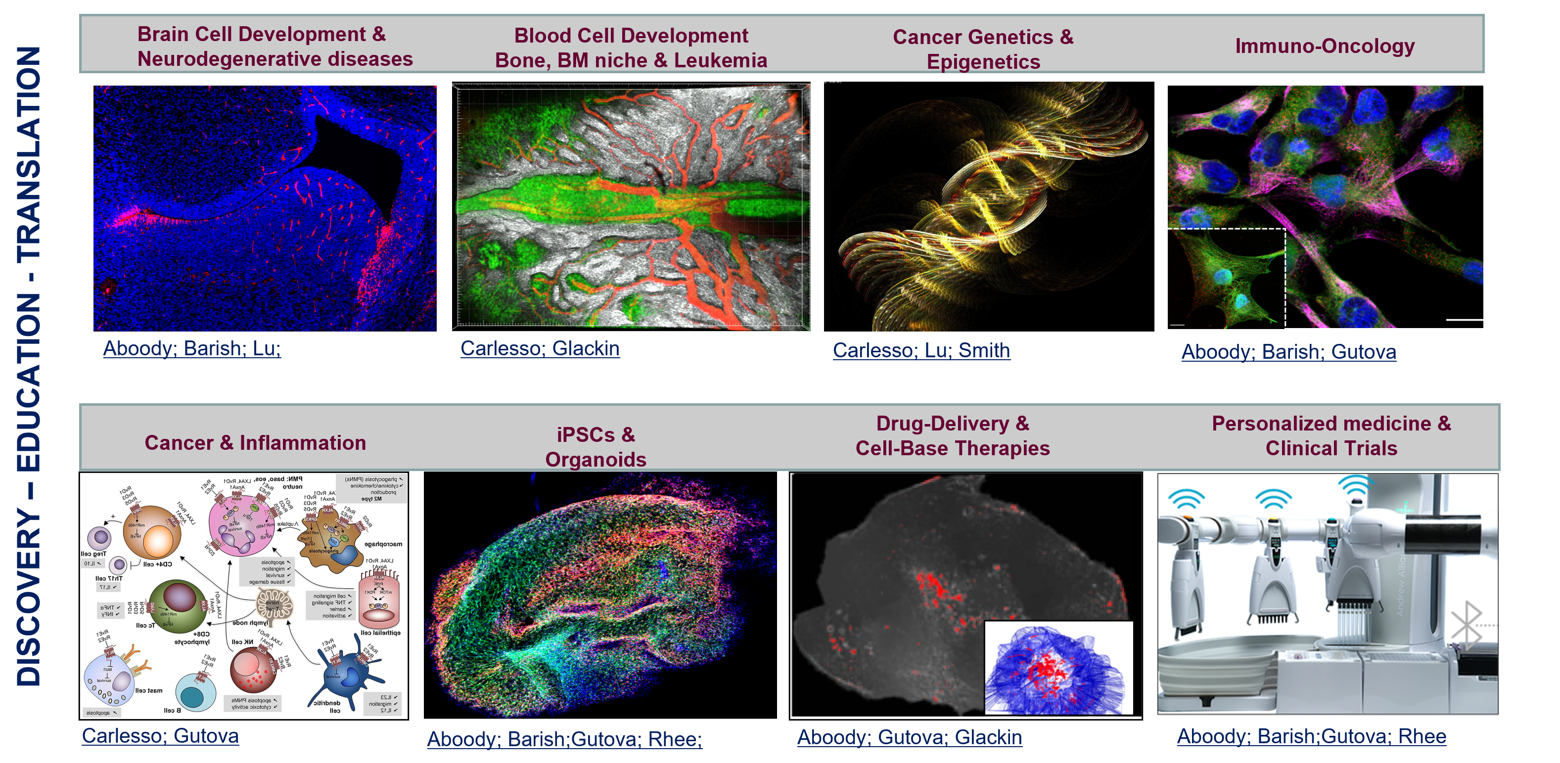 Stem Cell Biology & Regenerative Medicine Research Areas