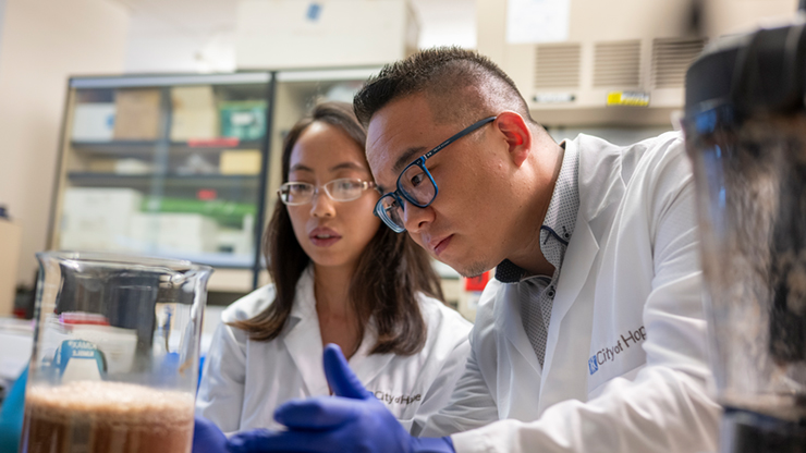 Postdoctoral fellow Xiaoqiang Wang and research associate Yin Chan study the potential of white button mushrooms to treat prostate cancer. 