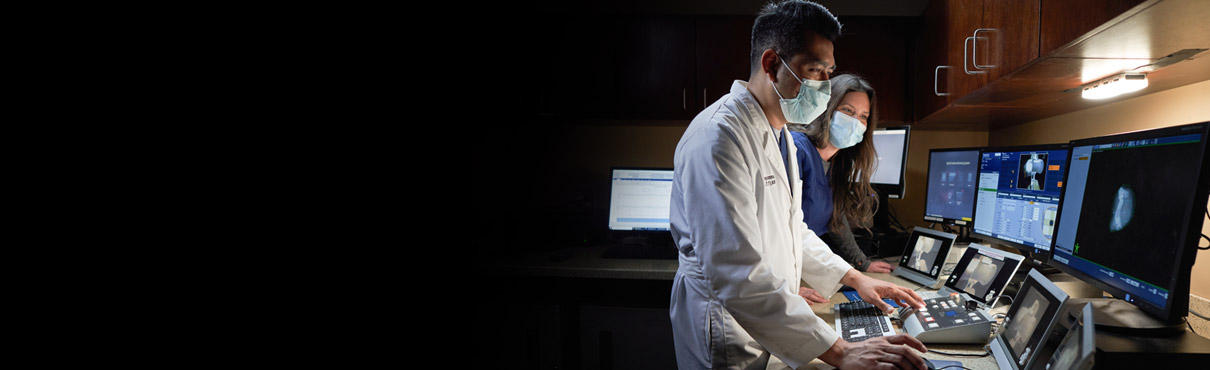 scientists working in laboratory