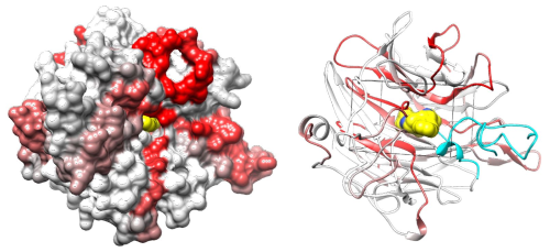 Chun-Wei (David) Chen, Ph.D., image