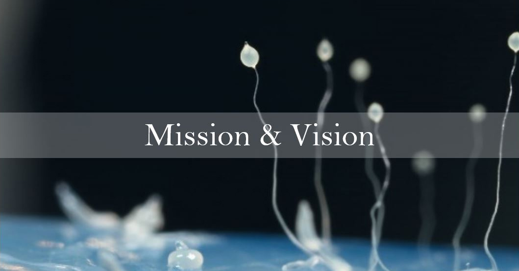 Stem Cell Biology and Regenertive Medicine Mission and Vision