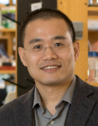 Yibin Kang, Ph.D.