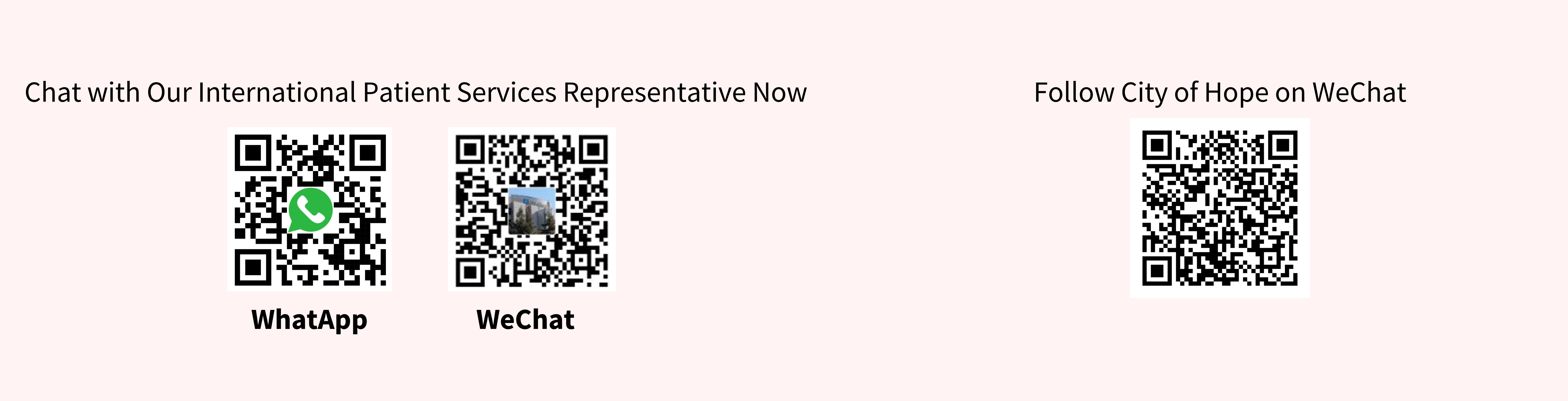 Contact us