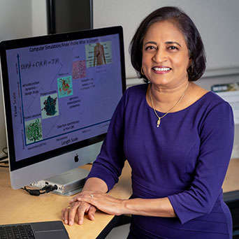 Nagarajan Vaidehi, Ph.D.