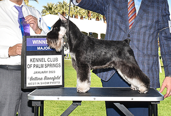 Championship dog breeder returns to her life’s passion through City of Hope Orange County’s advanced cancer care