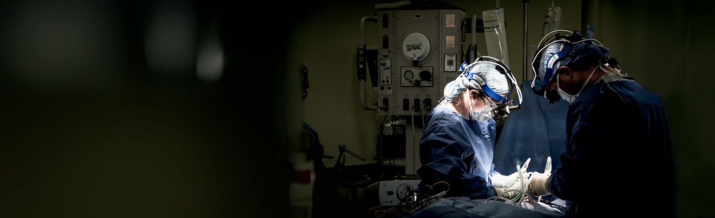 Mike Chen, M.D., and Lisa Anne Feldman, M.D., in the OR