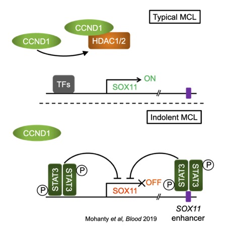 Typical MCL, Mohanty et al, Blood 2019