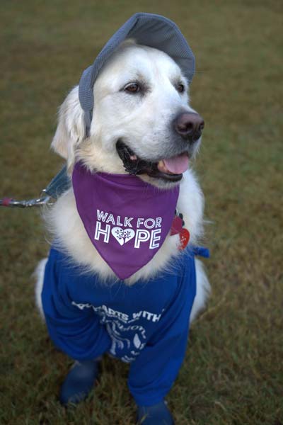 Oliver the Therapy Dog at Walk for Hope