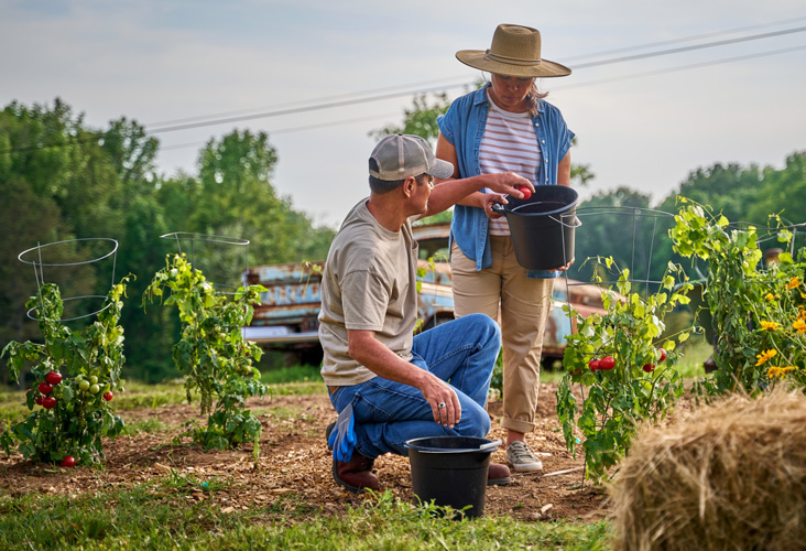 Farmers in a field