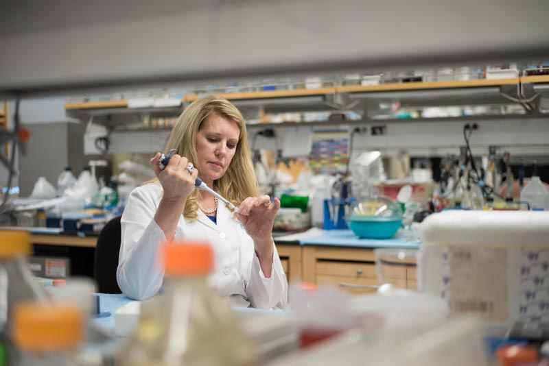 Linda Malkas, Ph.D.