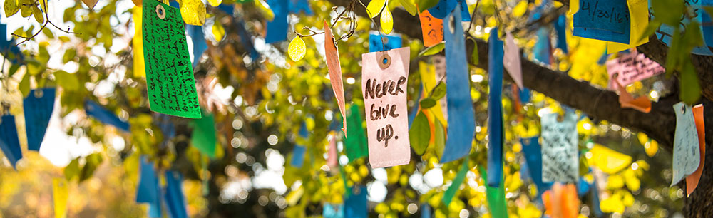 Never Give Up message, Wishing Tree | City of Hope