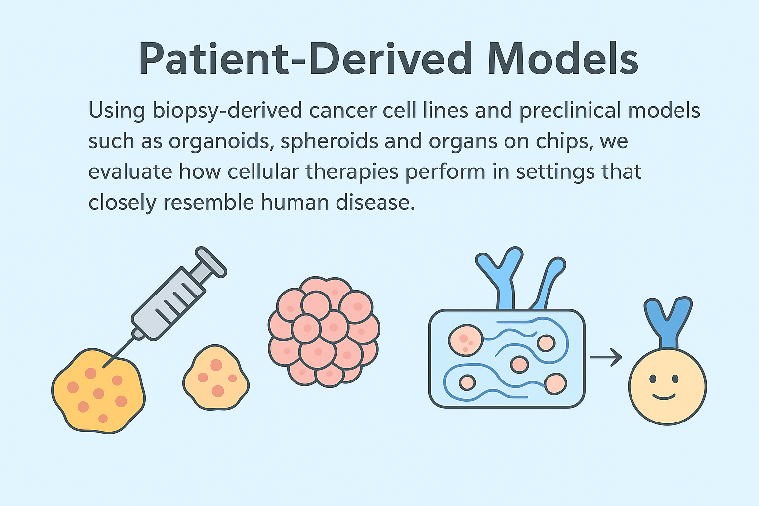 Patient-Derived Models