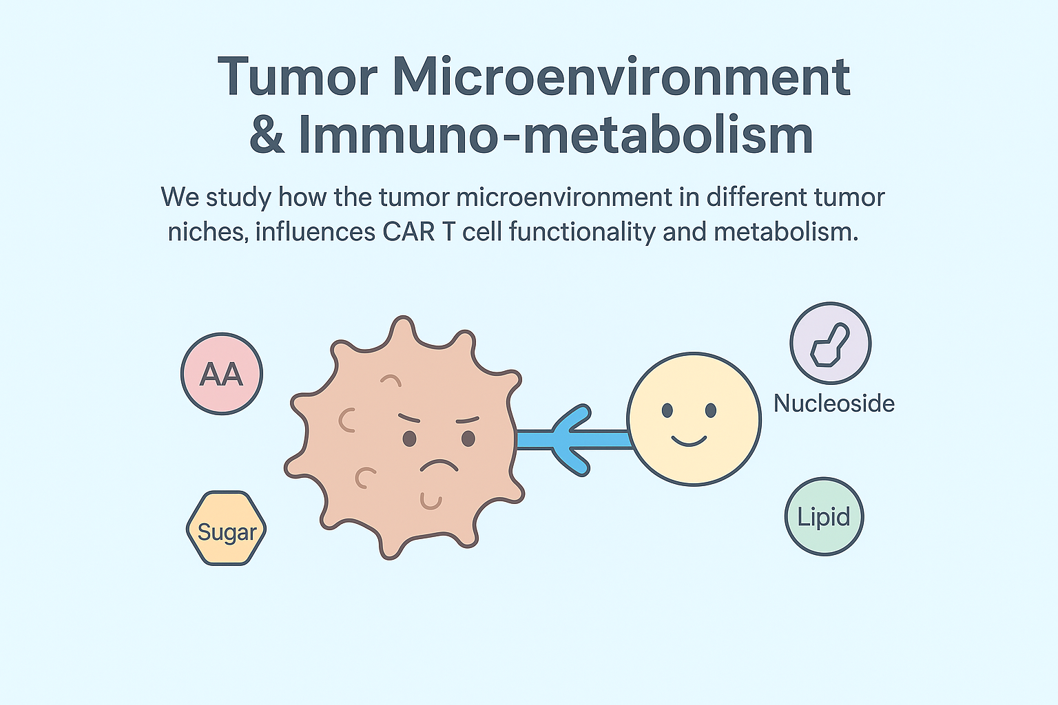Tumor Microenvironment and Immuno-Metabolism