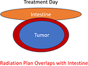 Ethos™ Therapy System Treatment Day