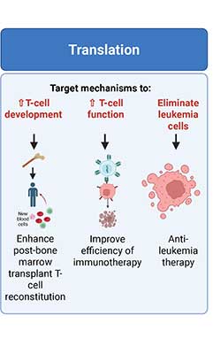 Defining the earliest stages of human T cell development