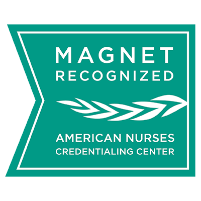 Magnet