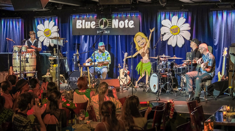 Musicians at Daisy Fest 