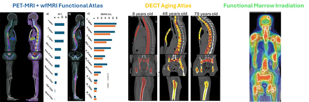 Infographic for Susanta Hui Lab, mapping the living skeleton