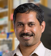 Ashok Deniz, Ph.D.