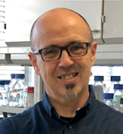 Salvador Ventura, Ph.D.