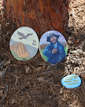 Eagle Scout-painted Hope Rocks displayed at Celebration Plaza