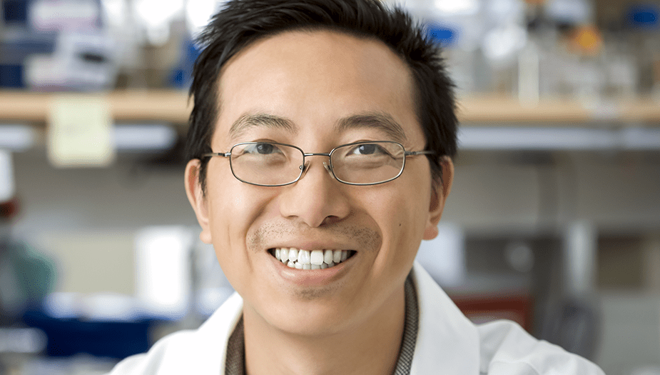 Dr. Wendong Huang