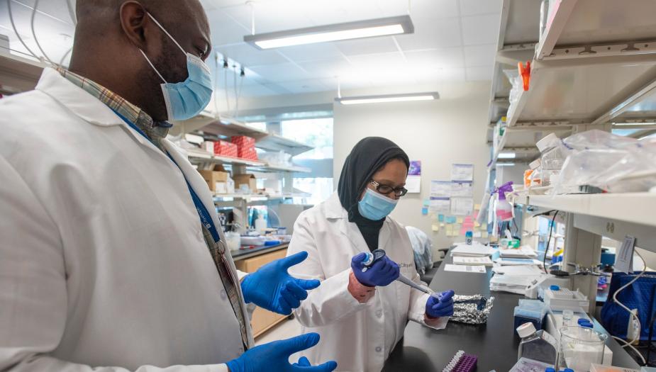 Two researchers in a lab